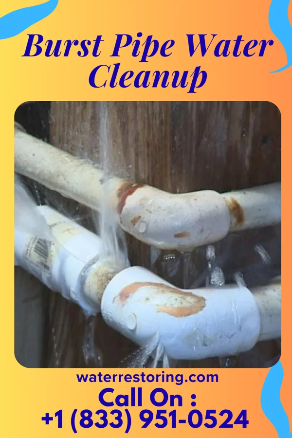Burst Pipe Water Cleanup in Monument, PA