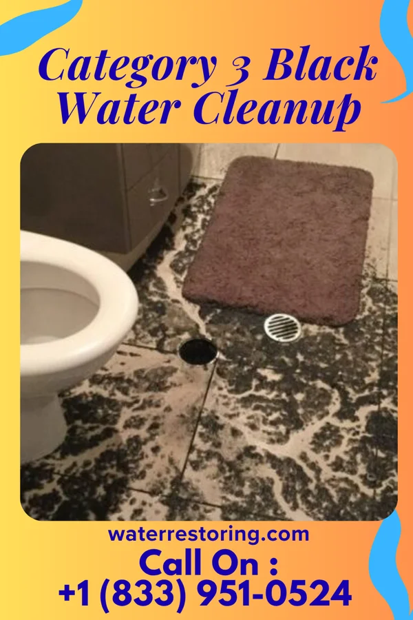 Category 3 Black Water Cleanup in Monument, PA