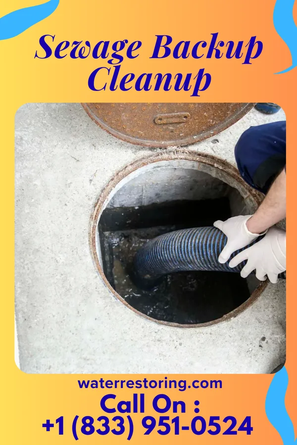 Sewage Backup Cleanup in Monument, PA
