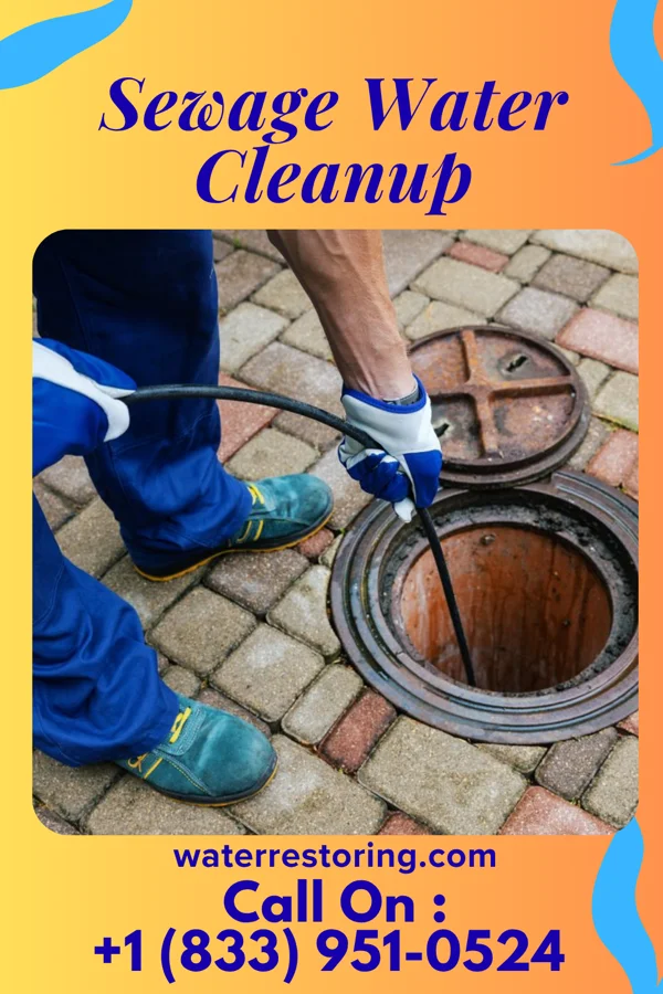 Sewage Water Cleanup in Monument, PA